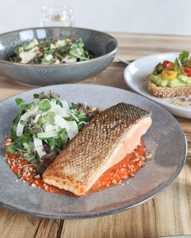 There's plenty of fish in the ocean, but the one for you right now is this pan-fried Atlantic salmon on a bed of romesco, walnut crumb, celery salt, fennel & mint salad with orange ginger dressing. 😋
.
.
.
#greenhouseonflora #sutherlandshire #theshire #shiretalk #sydneylife #visitsydney
#sydneyfoodshare #sydneycafes #sydneyrestaurant #sydeats #sydneyfoodies #sydneyfoodblogger #sydneybrunch #sydneylunch #sydneyeats #sydneyfoodporn #sydneyfoodguide #sydneyfoodblog #sydneyfoodlover #sydneycoffee #eatssydney #sydneyfood #sydneyfoodscene #breakfastinsydney #brunch #lunch #eatout #sutherlandshirebusiness #shiremums #whatsonsydney